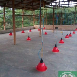 Screenshot_2023-12-26-07-29-57-45_2768c6f3dd71c987876b7b9730ce2453