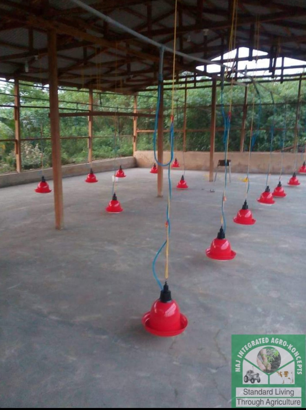 BELL DRINKER - Image 2